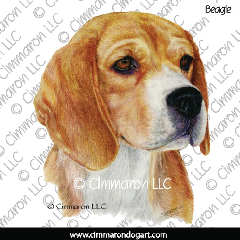 Beagle Portrait 010