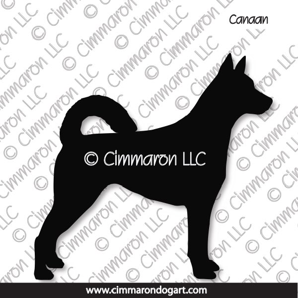 Canaan Dog Standing 002