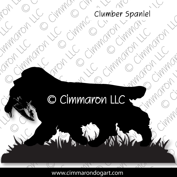 Clumber Spaniel in the Field 005