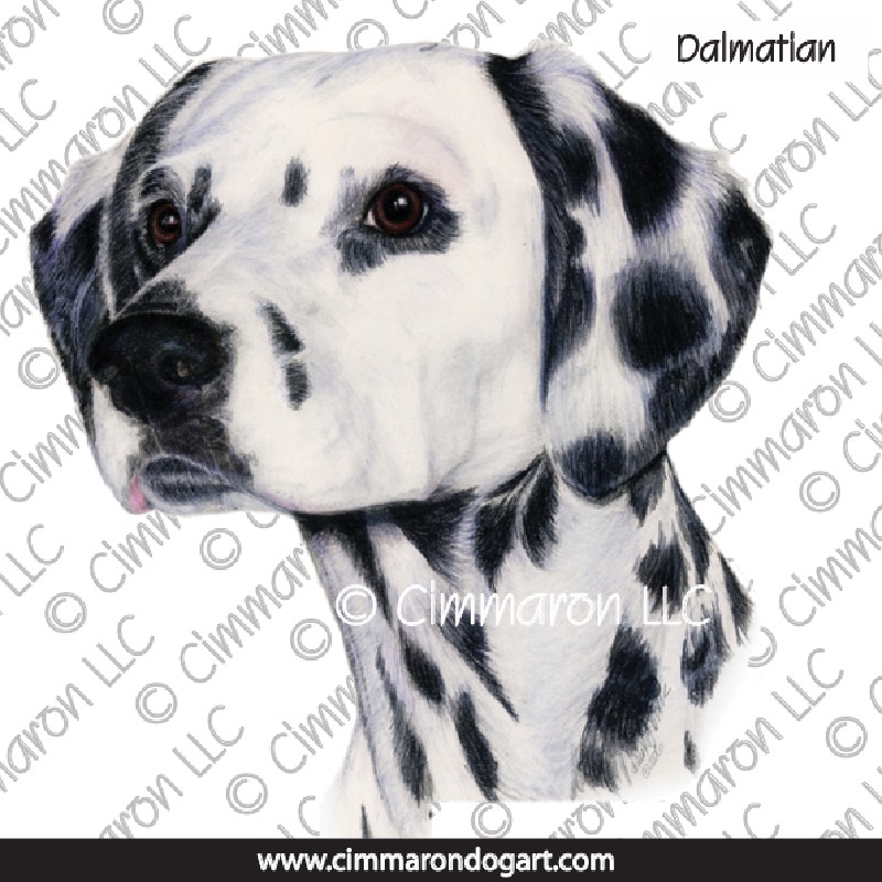 Dalmatian Hand Drawing 015