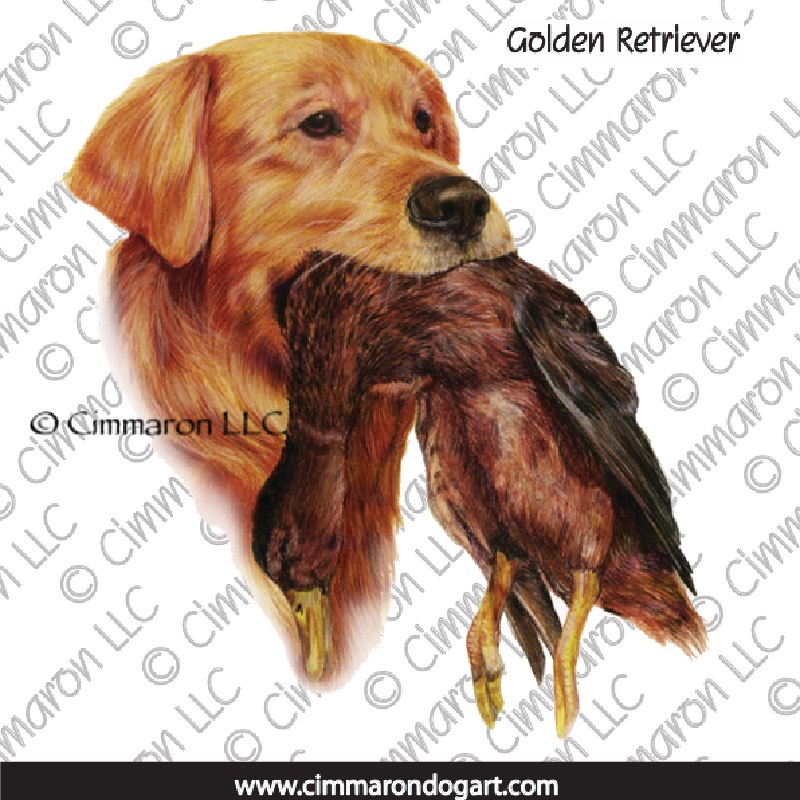 Golden Retriever and Duck 015