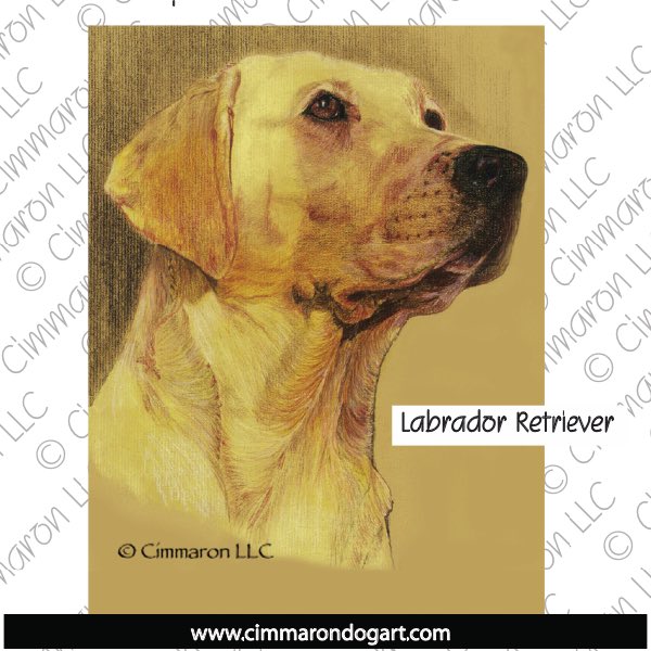 Labrador Retriever Portrait 010