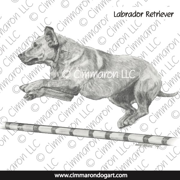 Labrador Retriever Bar Jump 008