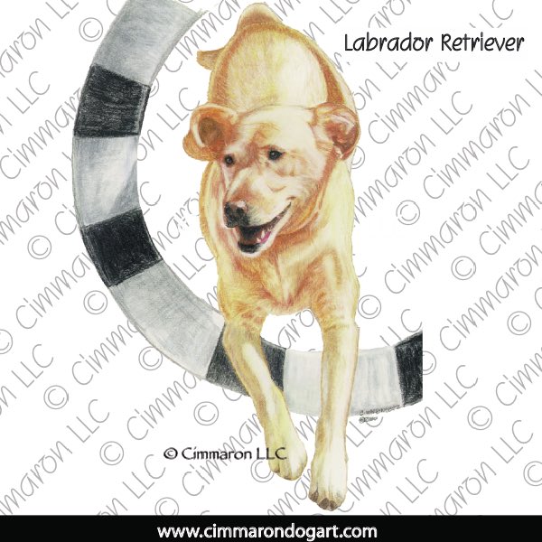 Labrador Retriever Tire 009