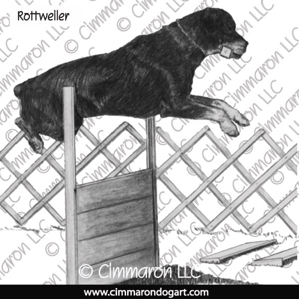 Rottweiler Drawing 010