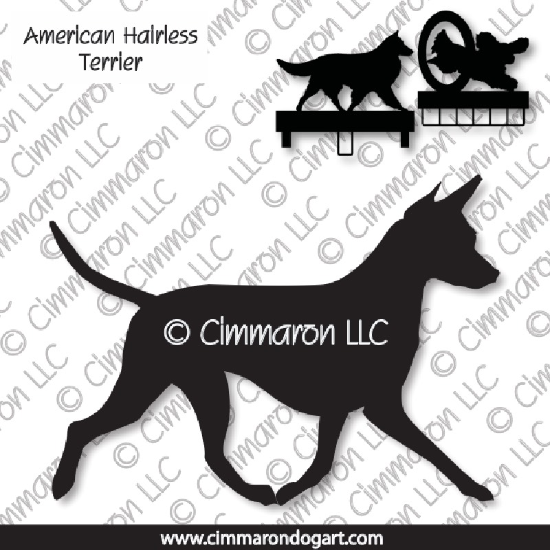 am-hairless002ls - American Hairless Terrier Gaiting MACH Bars-Rosette Bars