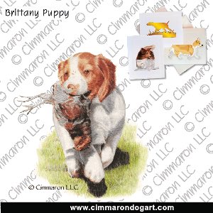 britt024n - Brittany Puppy N Quail Note Cards