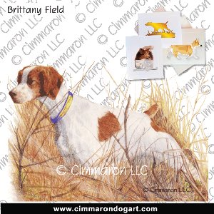 britt041n - Brittany Weeds Note Cards