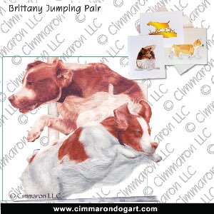 britt044n - Brittany Double Jump Color Note Cards