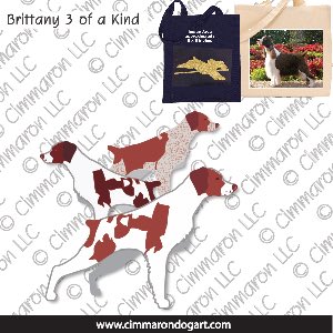 britt022tote - Brittany Three Of A Kind
