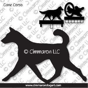canaan003ls - Canaan Gaiting MACH Bars-Rosette Bars