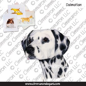 dal015n - Dalmatian Drawing Two Note Cards
