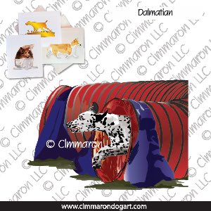 dal009n - Dalmatian Tunnel Note Cards