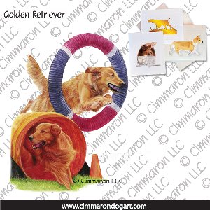 golden011n - Golden Retriever Combo Note Cards