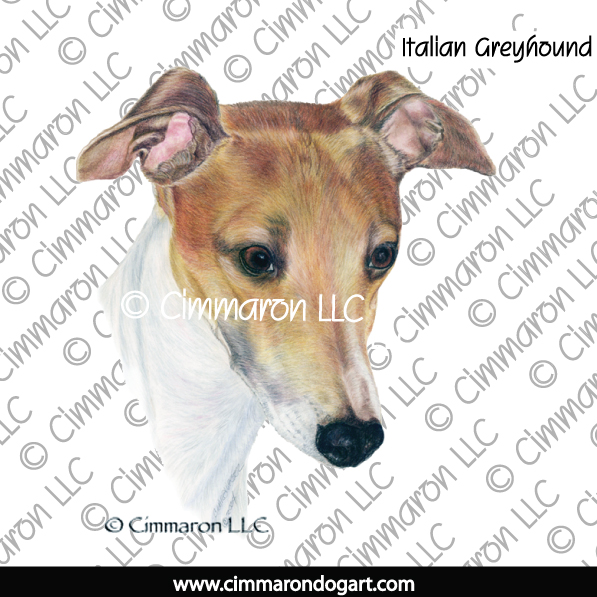 ig006tote - Italian Greyhound Portrait Tote Bag