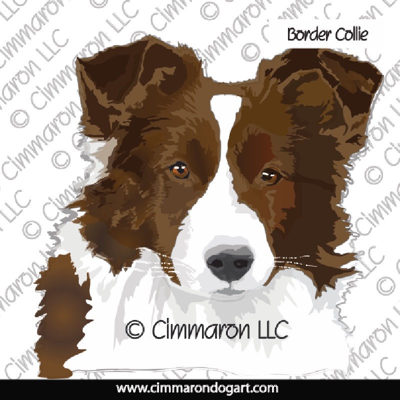 Border Collie Vector Drawing Brown 013