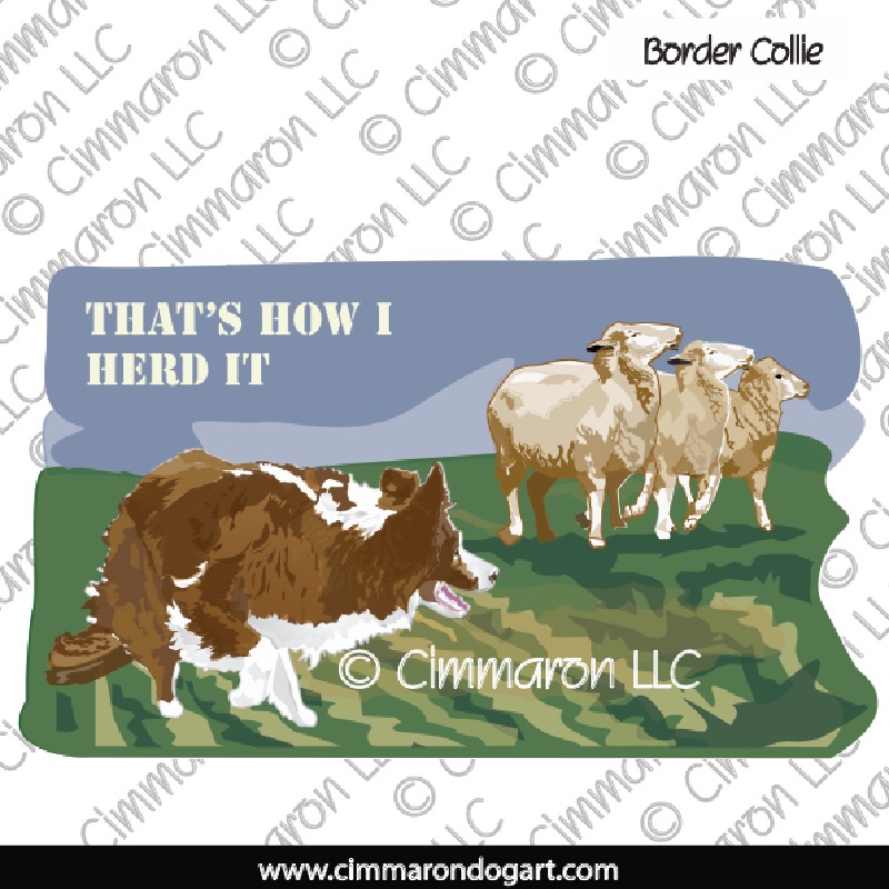 Border Collie Herding 019
