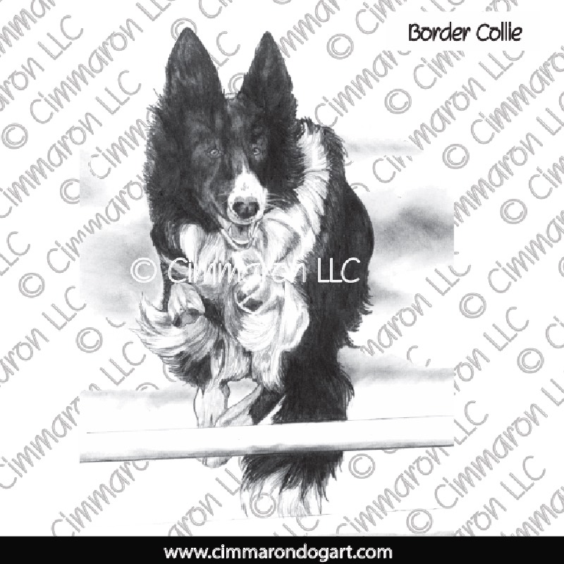 Border Collie Jumping Drawing 020