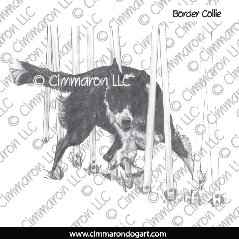 Border Collie Weaves Drawing 021