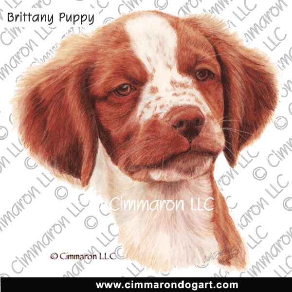 Brittany Puppy Portrait 030