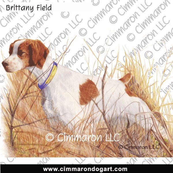 Brittanys Field Weeds 041