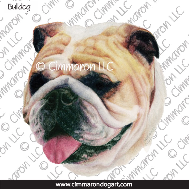 Bulldog Portrait 005