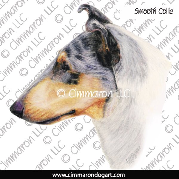 Collie Smooth Drawing 014