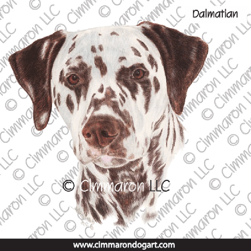 Dalmatian Portrait Liver 017