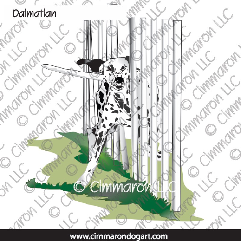 Dalmatian Weaves Color 008