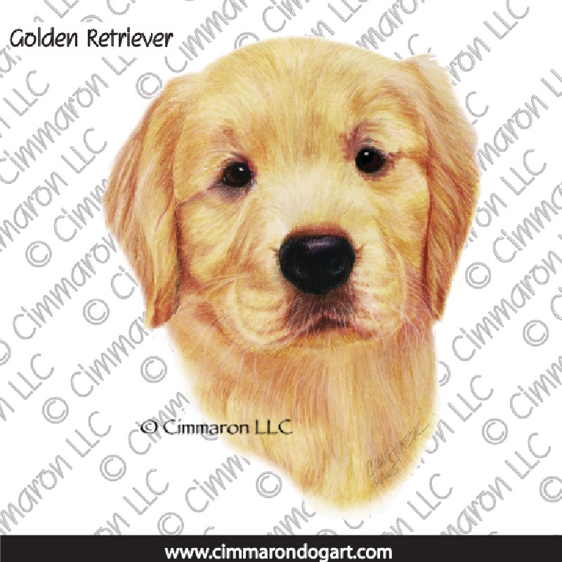 Golden Retriever Puppy Portrait 016