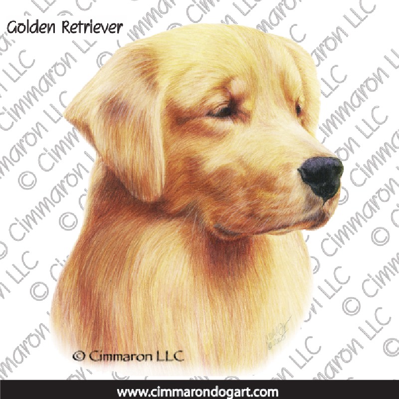Golden Retriever Portrait 017