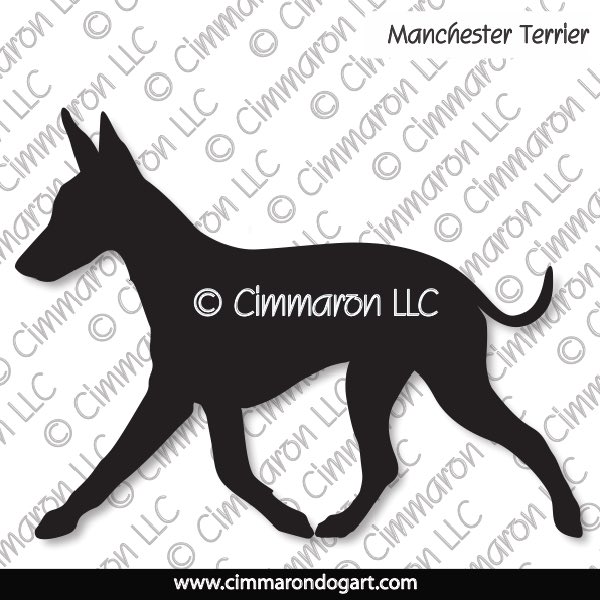 Manchester Terrier (Standard) Gaiting Silhouette 002