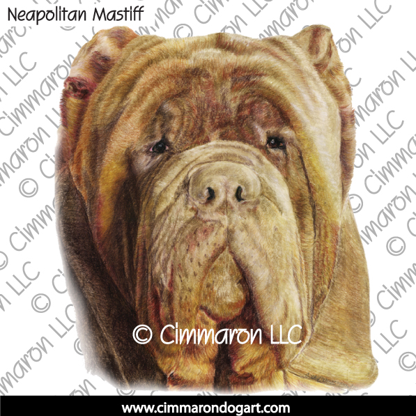Neapolitan Mastiff Portrait 006