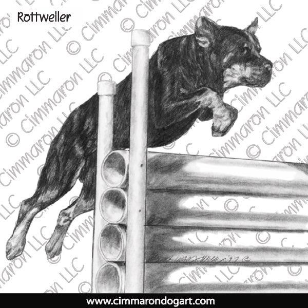 Rottweiler Drawing 009