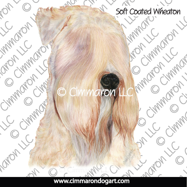 Soft Coated Wheaten Terrier Portrait 006