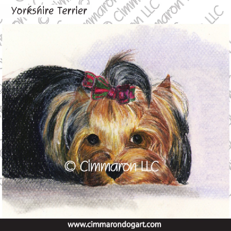 Yorkshire Terrier Drawing 006