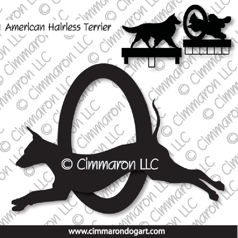 am-hairless003ls - American Hairless Terrier Agility MACH Bars-Rosette Bars