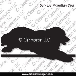 bmd005d - Bernese Mountain Dog Jumping Decal