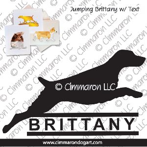 britt010n - Brittany Jumping With Text Note Cards