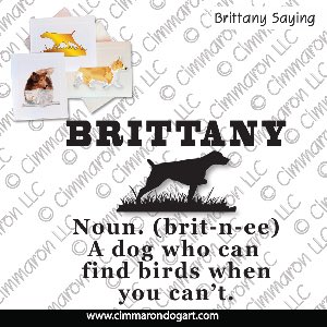 britt017n - Brittany A Noun Note Cards