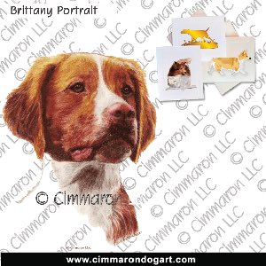 britt036n - Brittany Color Portrait Note Cards