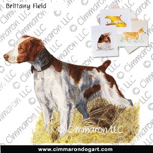 britt042n - Brittany In Field Note Cards