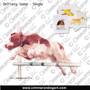 britt045n - Brittany Single Jump Color Note Cards