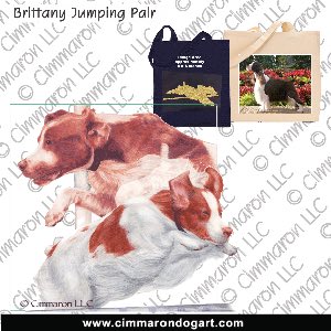 britt044tote - Brittany Double Jump Color Tote Bag