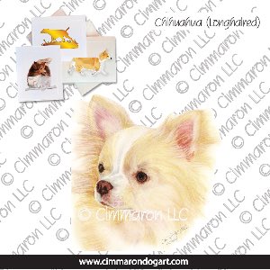 chichi-r-010n - Chihuahua Long Coated Drawing Note Cards