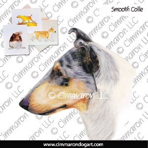 collie-s-014n - Collie Smooth Portrait Note Cards