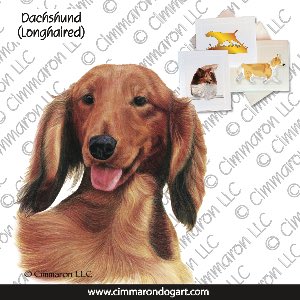 doxie016n - Dachshund Long Hair Portrait Note Cards