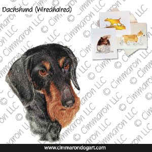 doxie023n - Dachshund Wirehair Portrait Note Cards