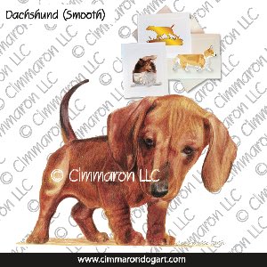 doxie009n - Dachshund Smooth Puppy Note Cards