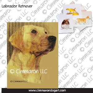 lab010n - Labrador Retriever Portrait Note Cards